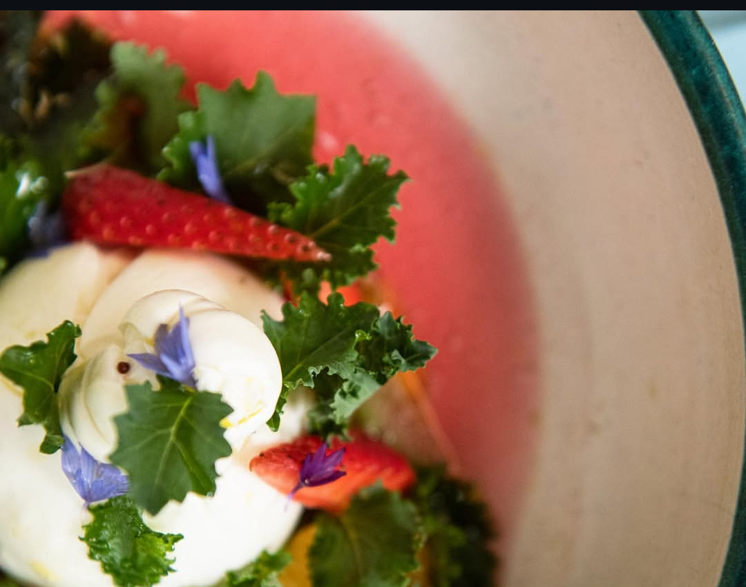 Culinary creation with microgreens