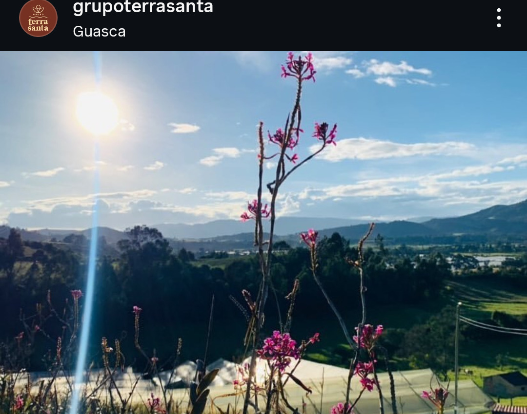 Culinary creation with microgreens