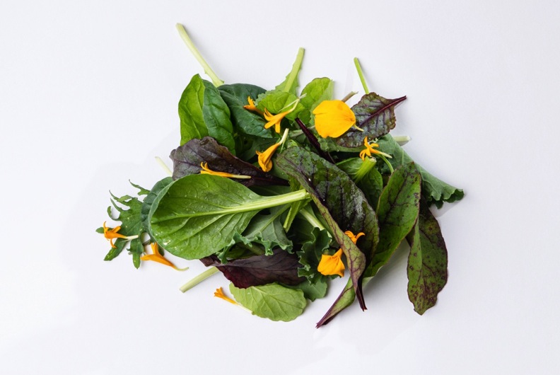 Micro Mezclum del Bosque