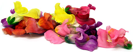 Pensamientos Grandes